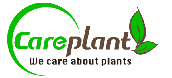 Careplant — We care about plants